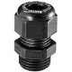 Cable Glands
